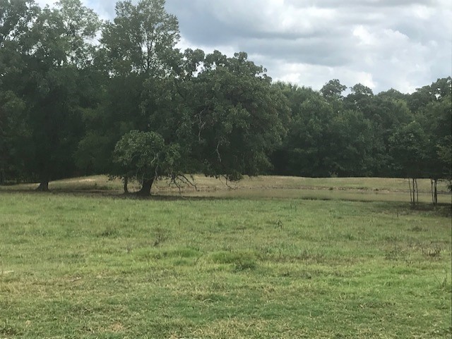 Cedar Branch Deer Hunting Property - Deer Texas Leases