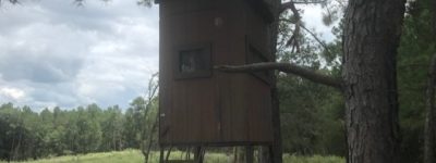 Deer stand - Mount Zion Hunting Lease