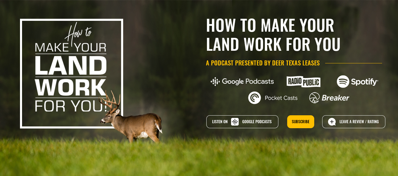 How To Make Your Land Work for You Deer Texas Leases