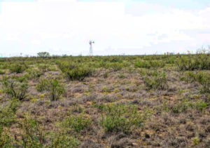 Tri-Mid Ranch - West Texas Hunting Lease - Andrews County