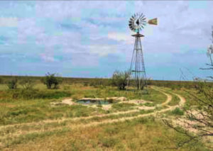 Tri-Mid Ranch - West Texas Hunting Lease - Andrews County