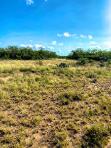 Rancho Colorado Whitetail Texas Deer Hunting Lease