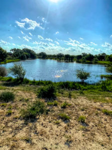 Pond view - Rancho Colorado Whitetail Texas Deer Hunting Lease